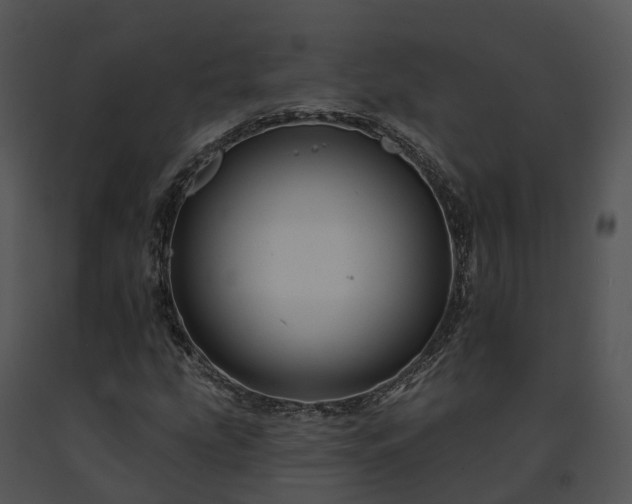 X0000091671207200708301452