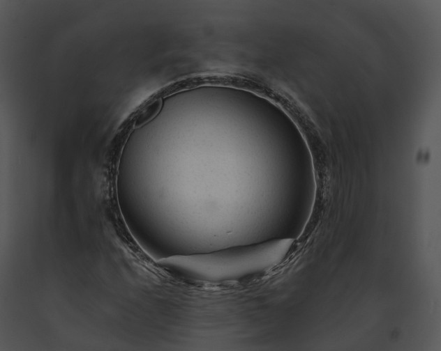 X0000091671208200708301452