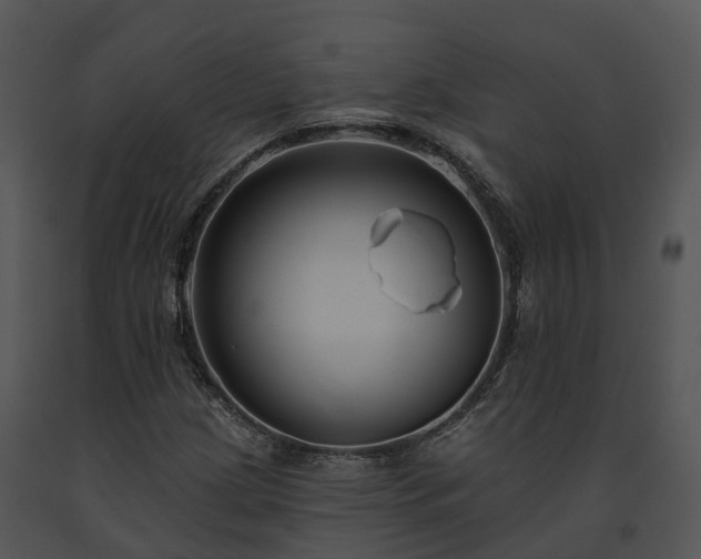 X0000091671209200708301452