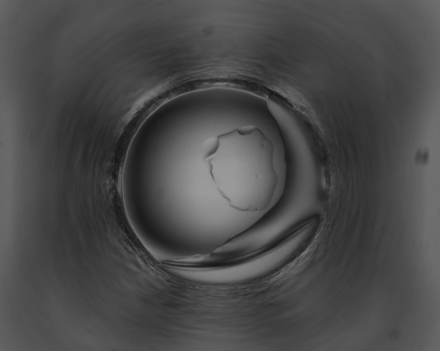 X0000091671210200708301452