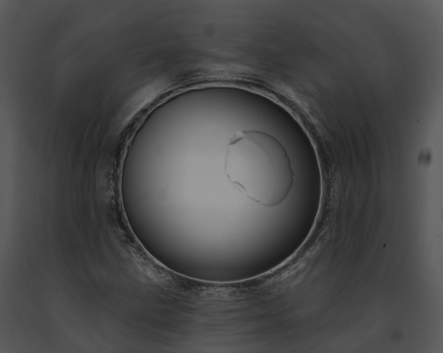 X0000091671211200708301452
