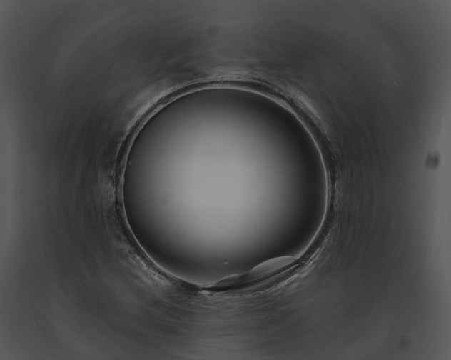 X0000091671212200708301452