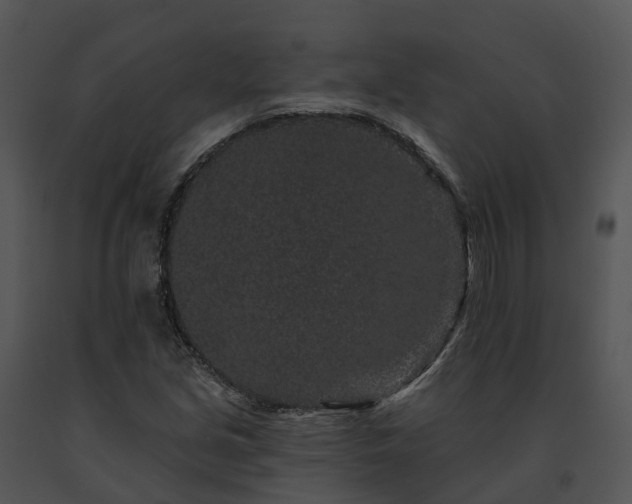 X0000091671213200708301452