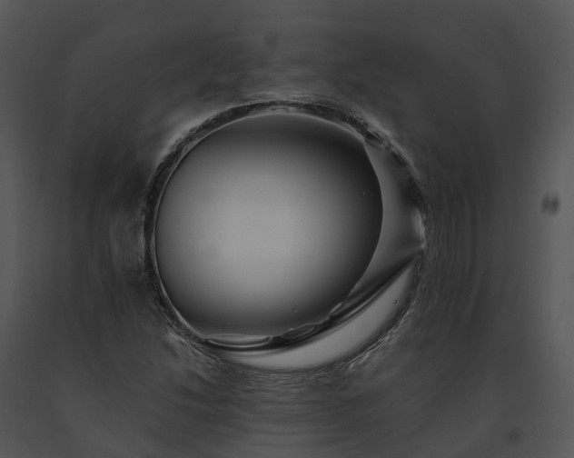 X0000091671214200708301452