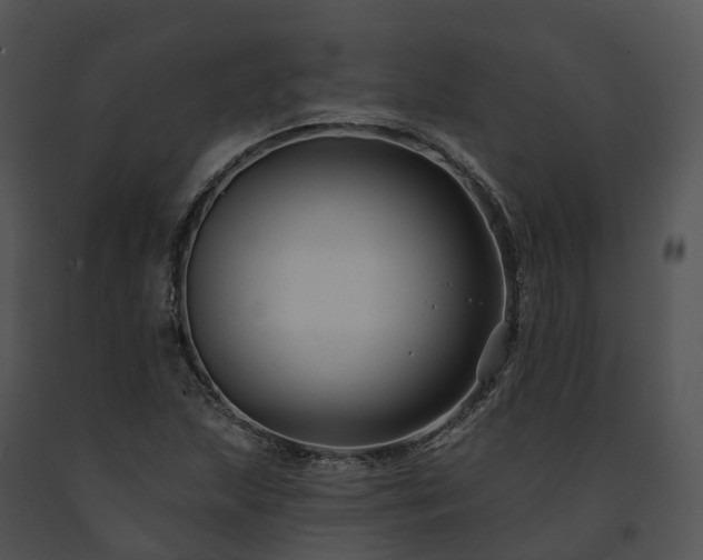 X0000091671215200708301452