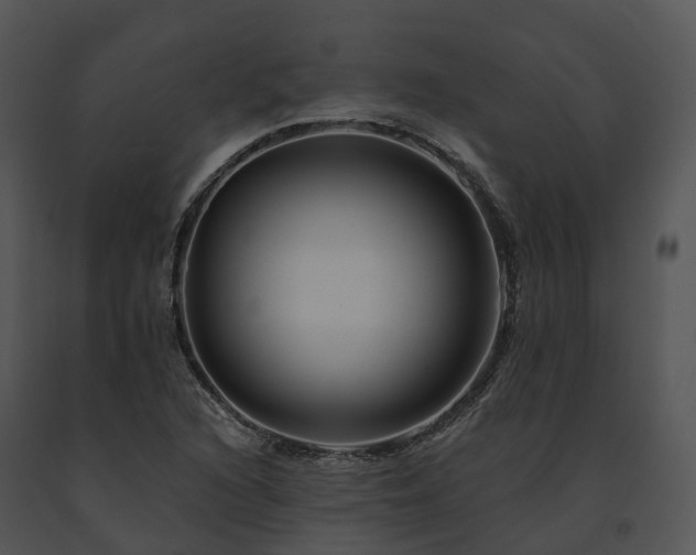 X0000091671216200708301452