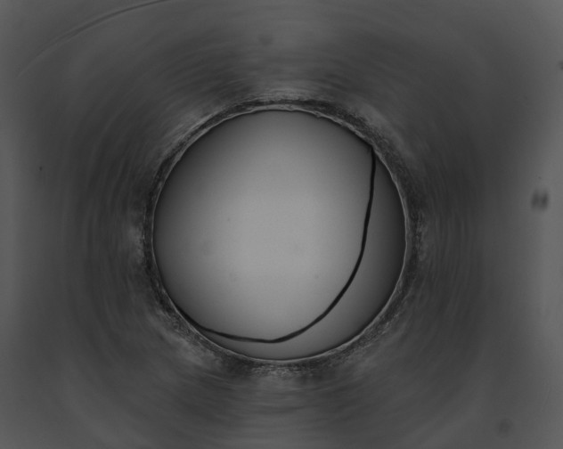 X0000091671217200708301452