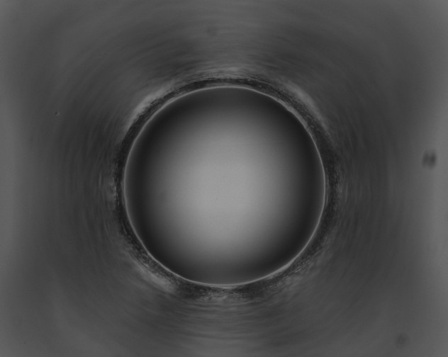 X0000091671218200708301452