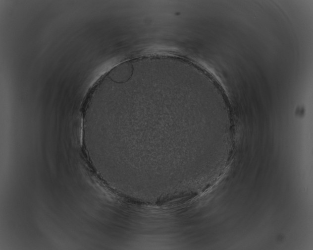 X0000091671219200708301452
