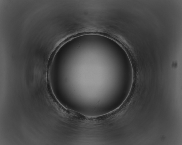 X0000091671220200708301452