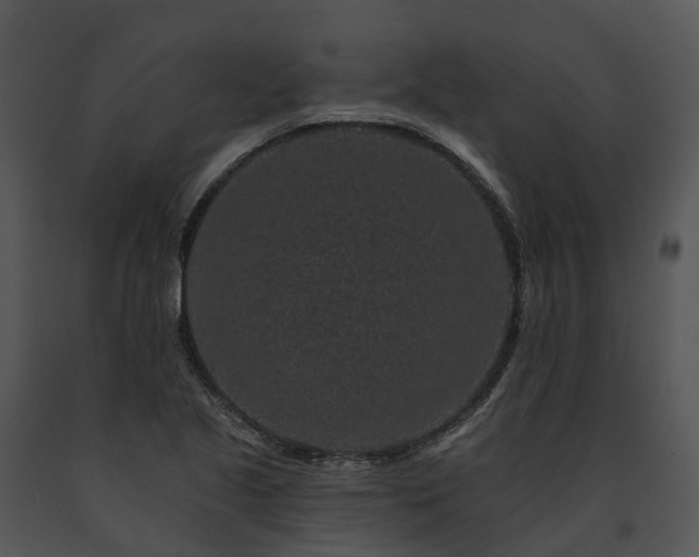 X0000091671221200708301452