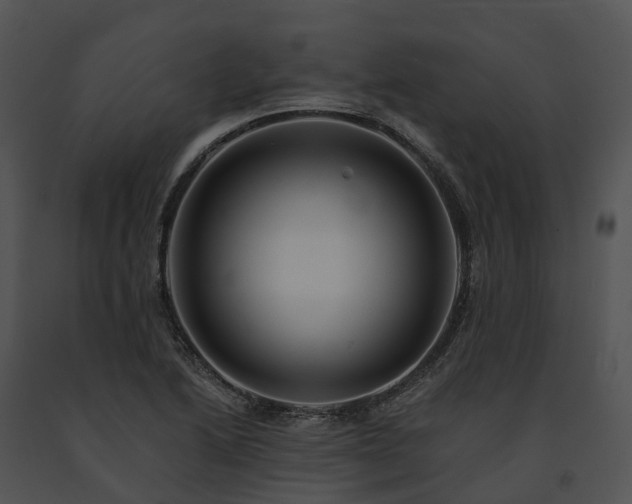 X0000091671222200708301452