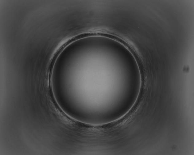 X0000091671224200708301453