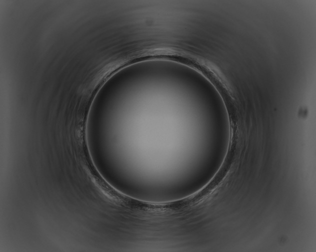 X0000091671225200708301453