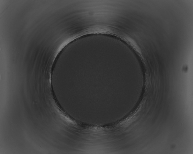 X0000091671226200708301453