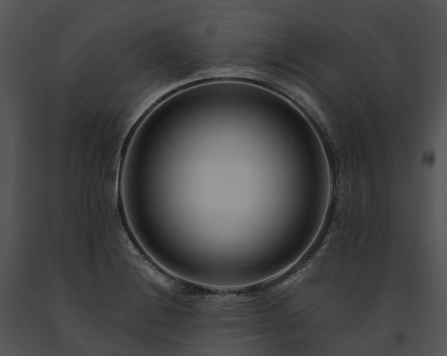 X0000091671228200708301453