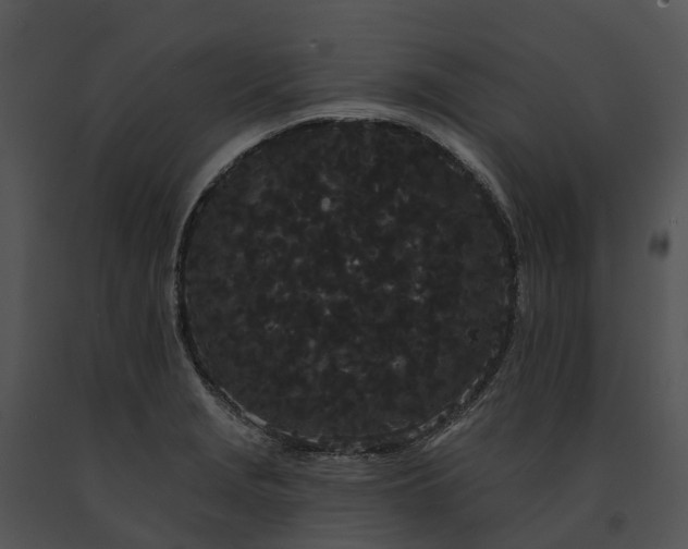 X0000091671229200708301453