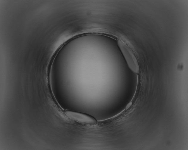 X0000091671230200708301453