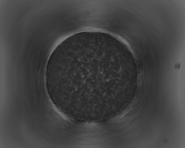 X0000091671231200708301453