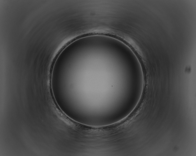 X0000091671232200708301453