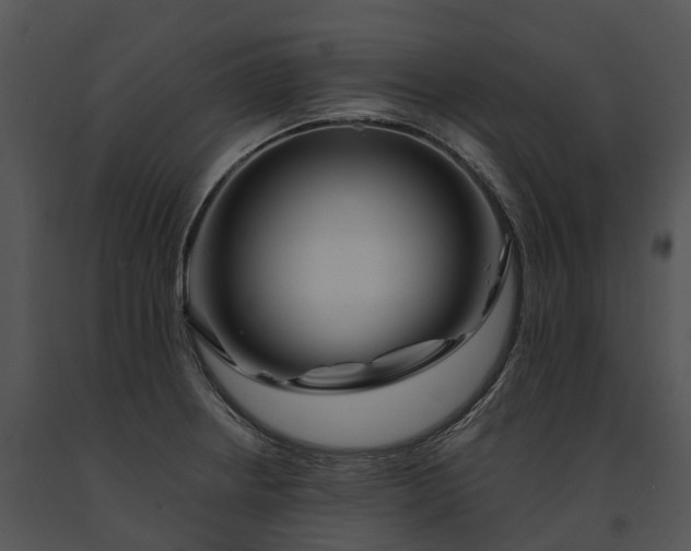 X0000091671234200708301453