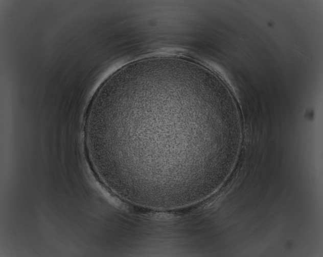 X0000091671235200708301453