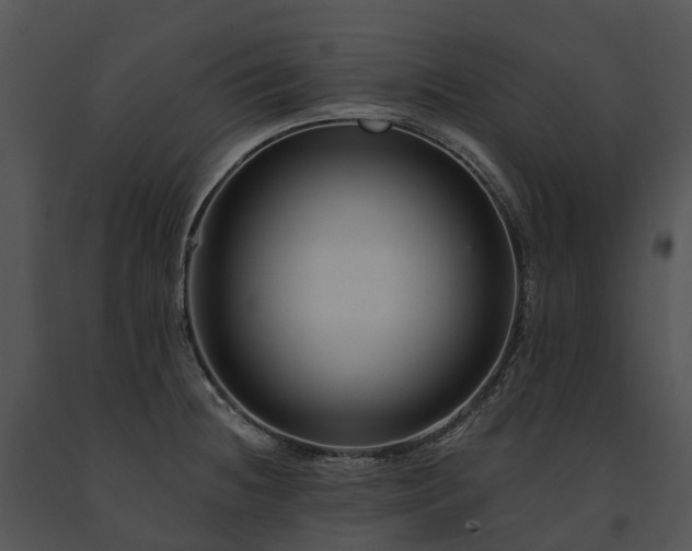 X0000091671236200708301453
