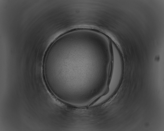 X0000091671237200708301453