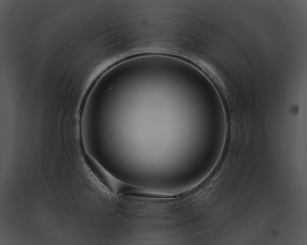 X0000091671238200708301453