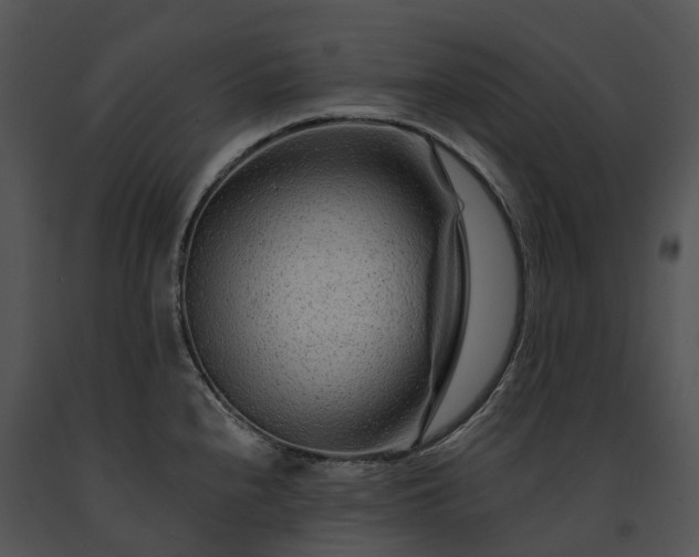 X0000091671240200708301453