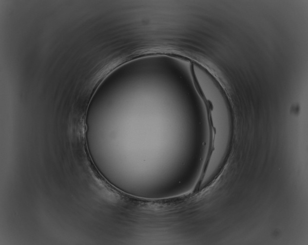 X0000091671241200708301453