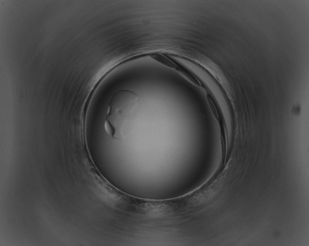 X0000091671242200708301453