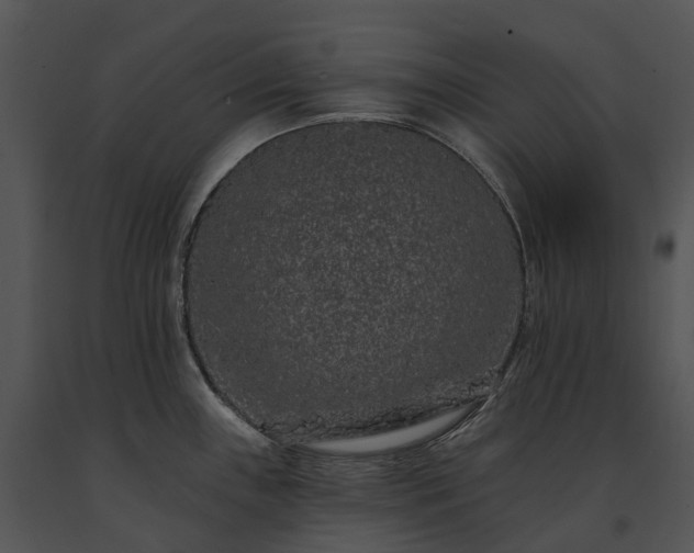 X0000091671243200708301453