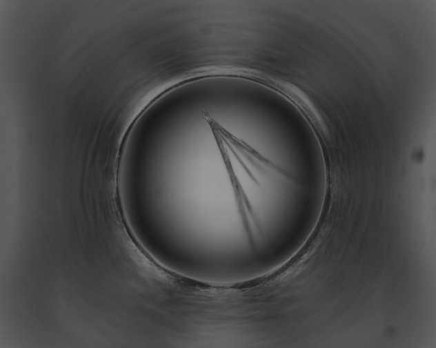 X0000091671244200708301453