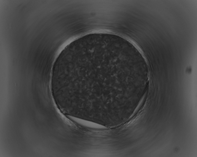 X0000091671245200708301453