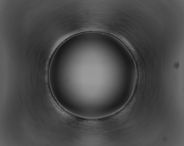 X0000091671246200708301453