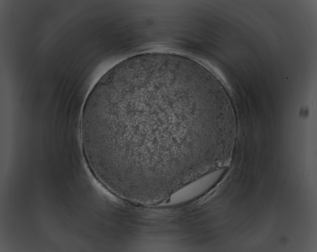 X0000091671247200708301453