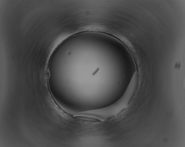 X0000091671248200708301453