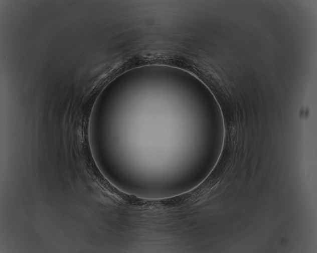 X0000091671250200708301452