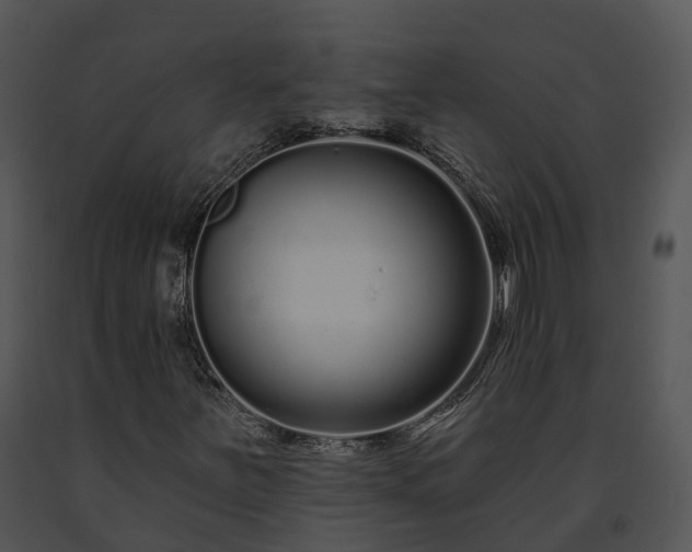 X0000091671251200708301452