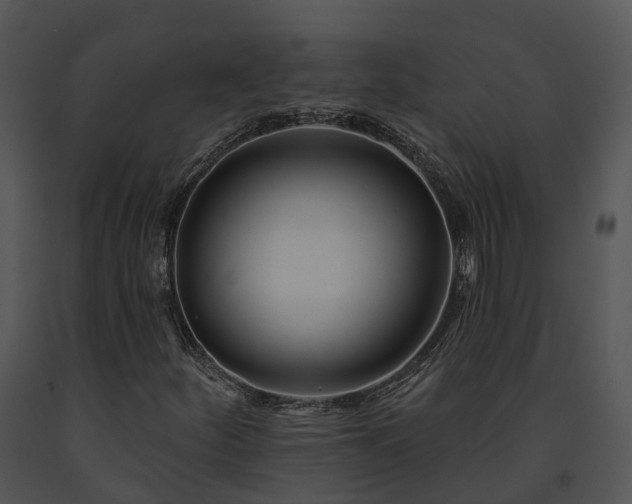 X0000091671252200708301452