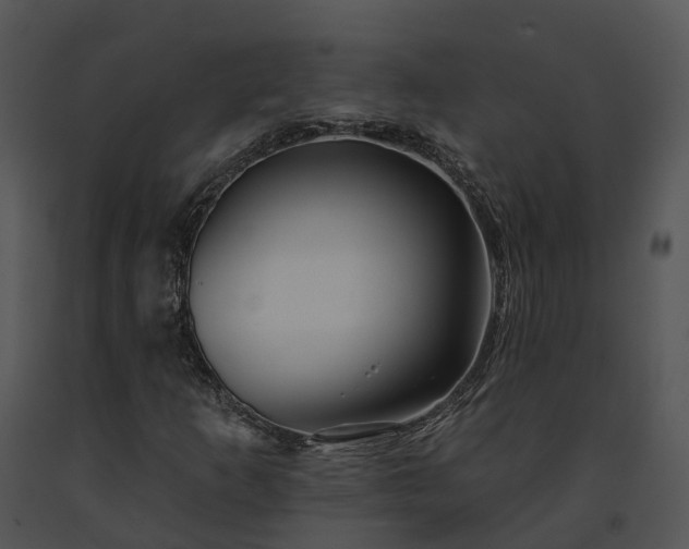 X0000091671253200708301452