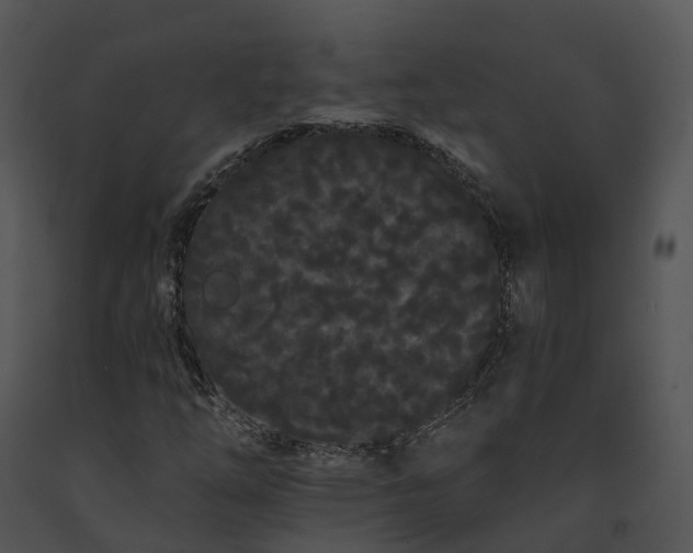 X0000091671254200708301452