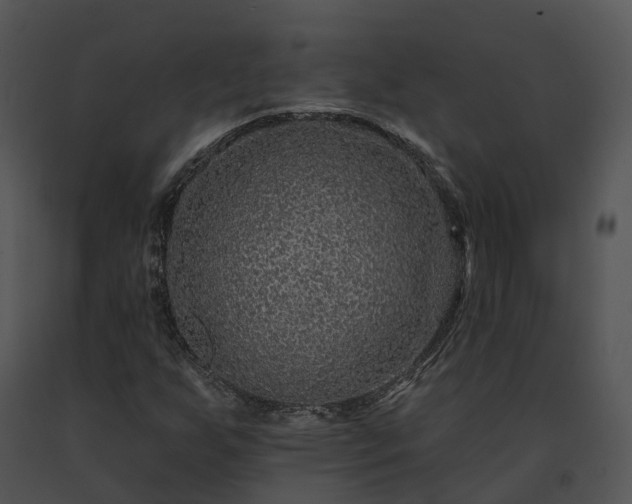 X0000091671255200708301452