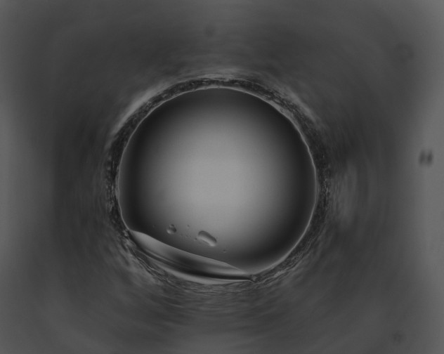 X0000091671256200708301452