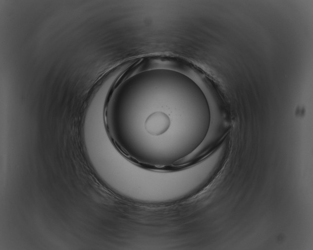 X0000091671257200708301452