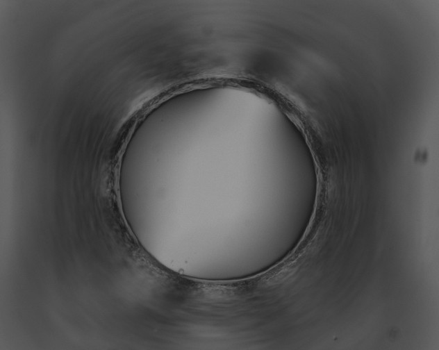 X0000091671258200708301452