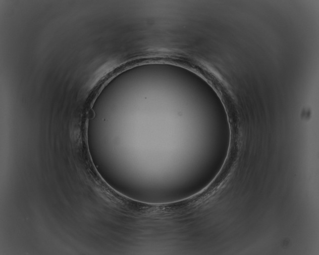 X0000091671259200708301452