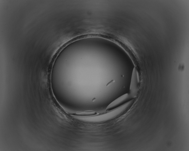 X0000091671260200708301452