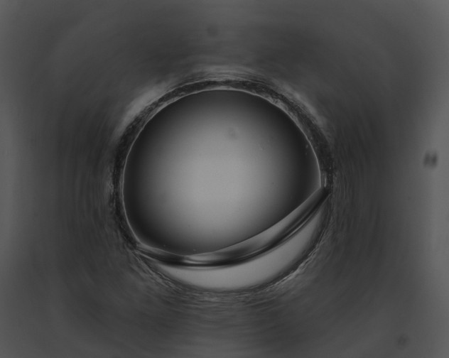 X0000091671261200708301452